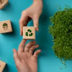 Tracking Sustainability: The Rise of Green Bond Indexes