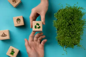 Tracking Sustainability: The Rise of Green Bond Indexes
